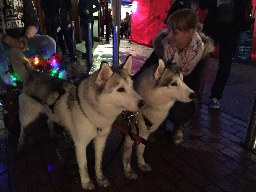 Huskies